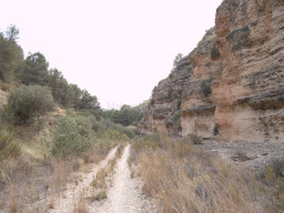 Rambla Perea-Mula 2018